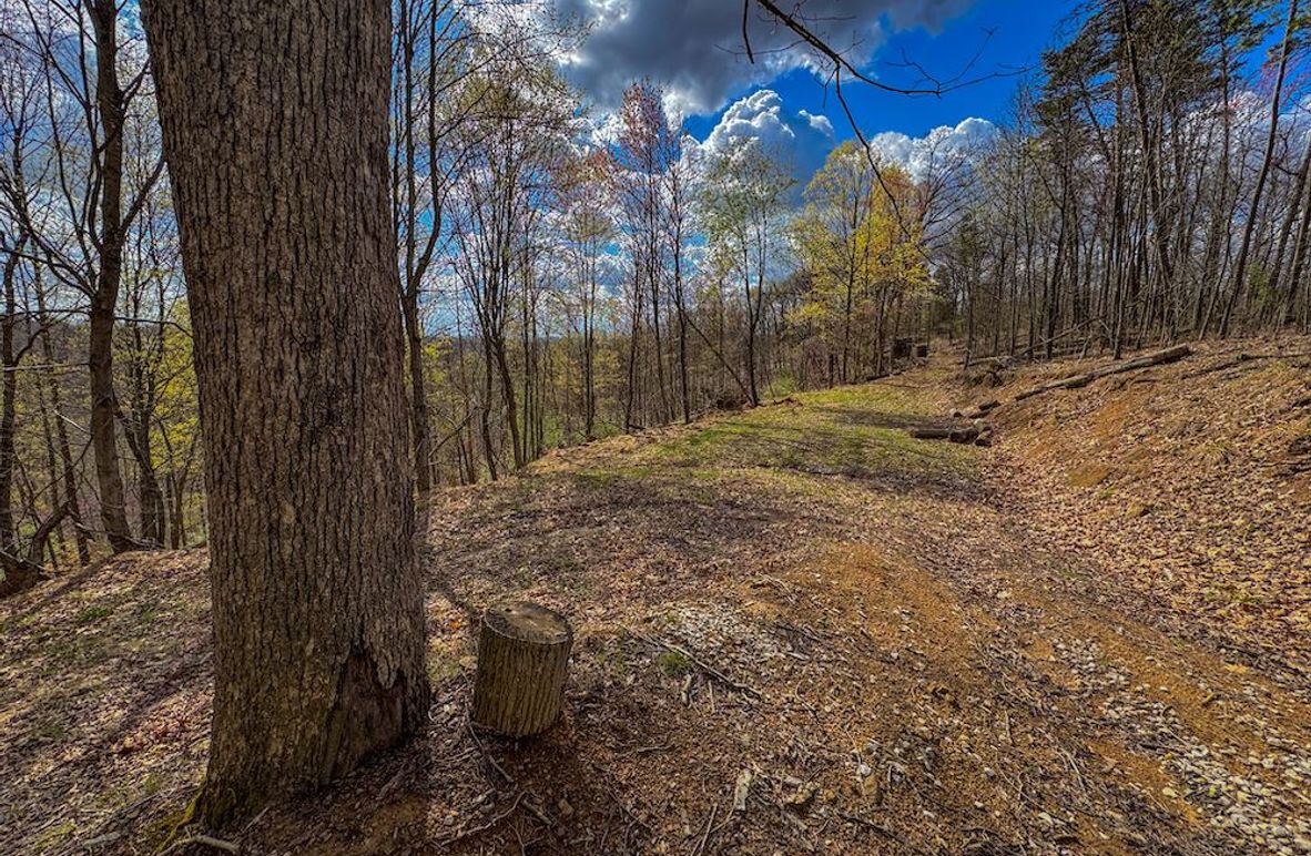 Wirt, WV 156.941 AC Full-01