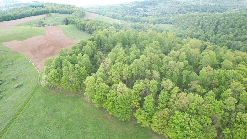 dji_fly_20250515_130258_241_1747328894518_photo