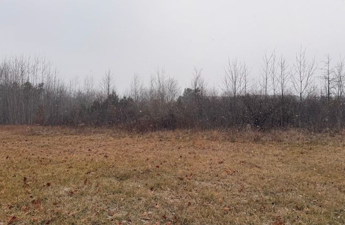 27EF1068-8AD3-4F8B-A876-2370709B6B2B_1_201_a