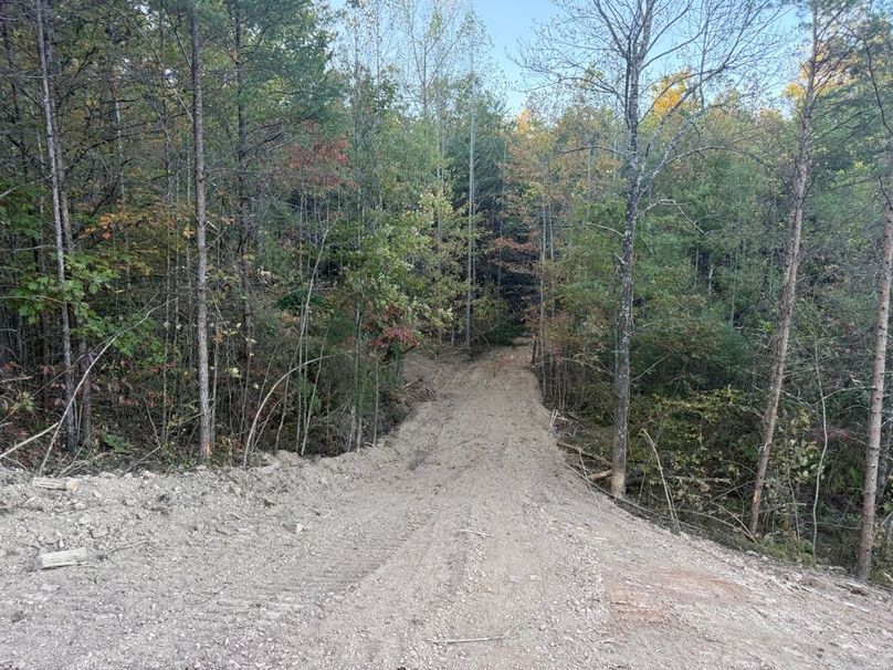 018 more of the nice trail system leading about the property