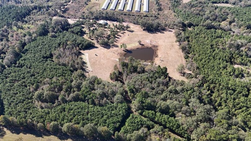 DJI_20251106033517_0847_D