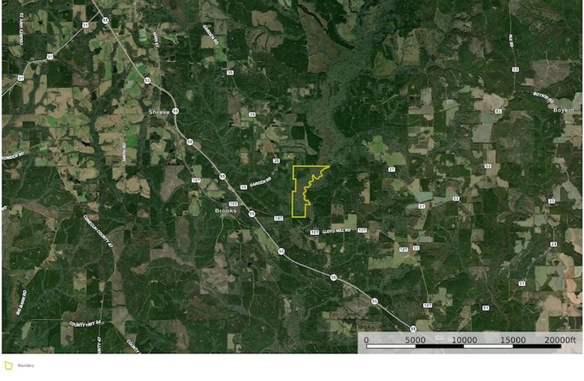 Aerial #2 - 217 Acres - Covington, AL