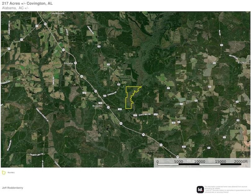 Aerial #2 - 217 Acres - Covington, AL