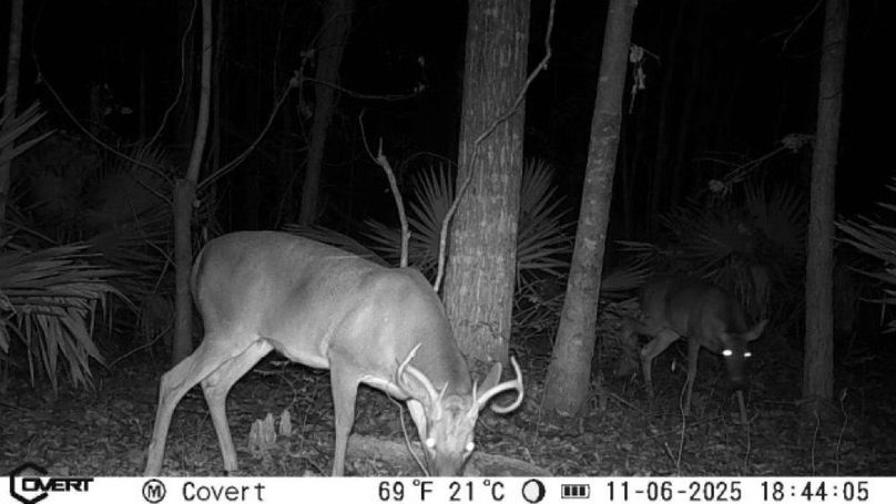 JPEG image-4AC9-A93A-BE-0-2