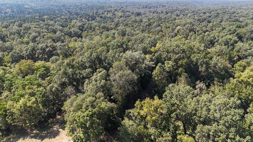 1-DJI_20241007134400_0009_D