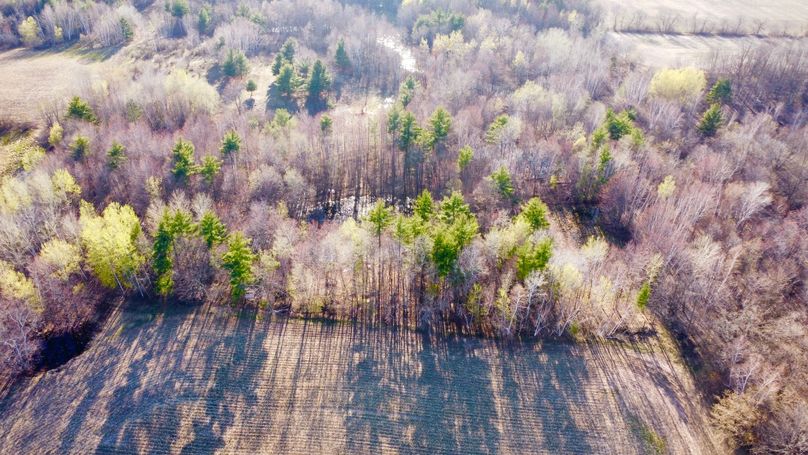 dji_fly_20230504_181838_703_1683242335559_photo_optimized