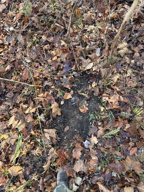 008 Deer Activity Is Red Hot on this Property