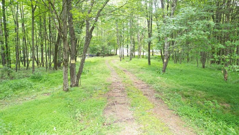 dji_fly_20250714_140836_433_1752537441033_photo