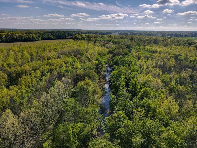 vandalia 450 (2)-3061