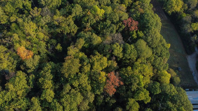 FREMONT CO. IA 158.32_71