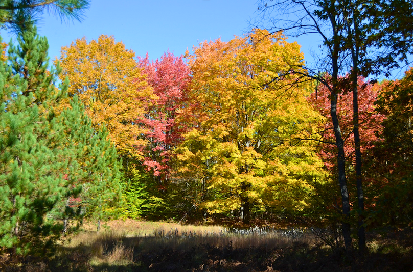 Screenshot 2025-11-11 at 12.11.02 PM