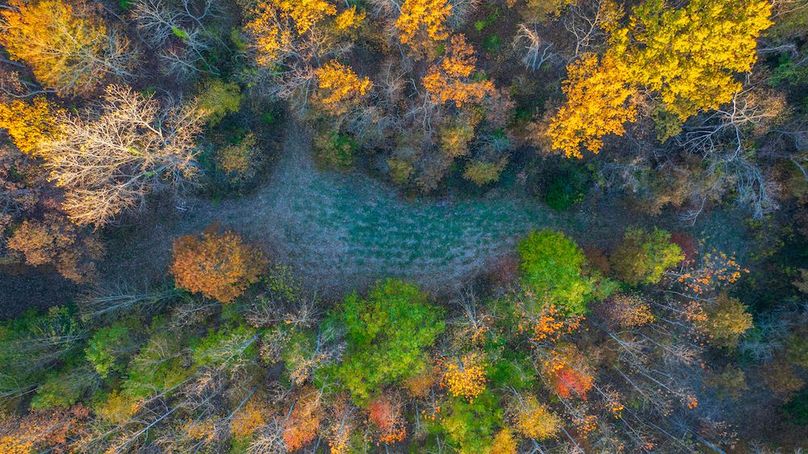 DJI_20251105181526_0037_D