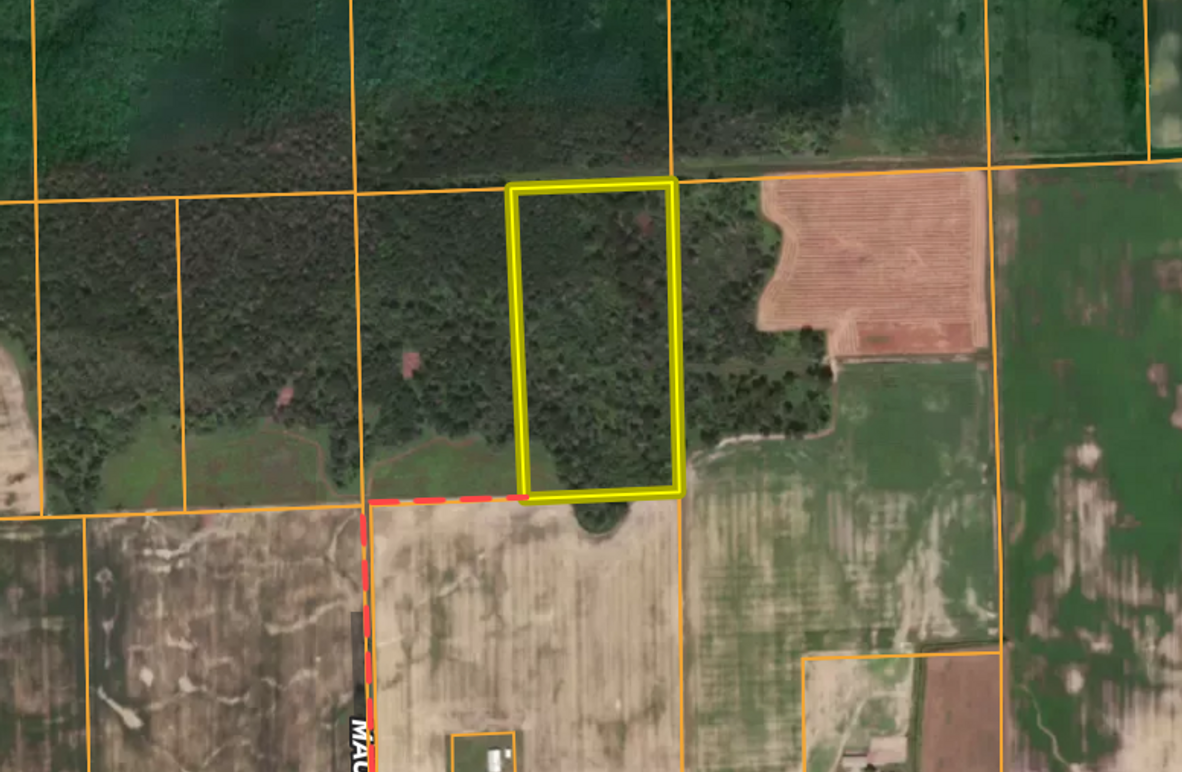 Screen Shot 2025-08-14 at 12.26.30 PM