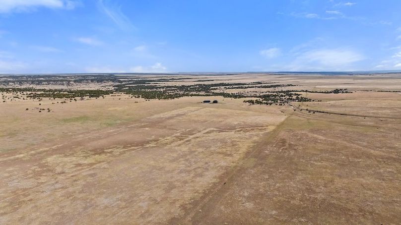 DJI_20250408163814_0018_D