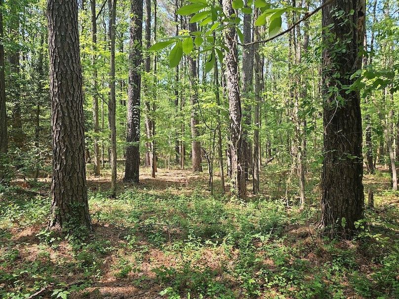 2.72ac_St Marys Rd_QAnnes_16