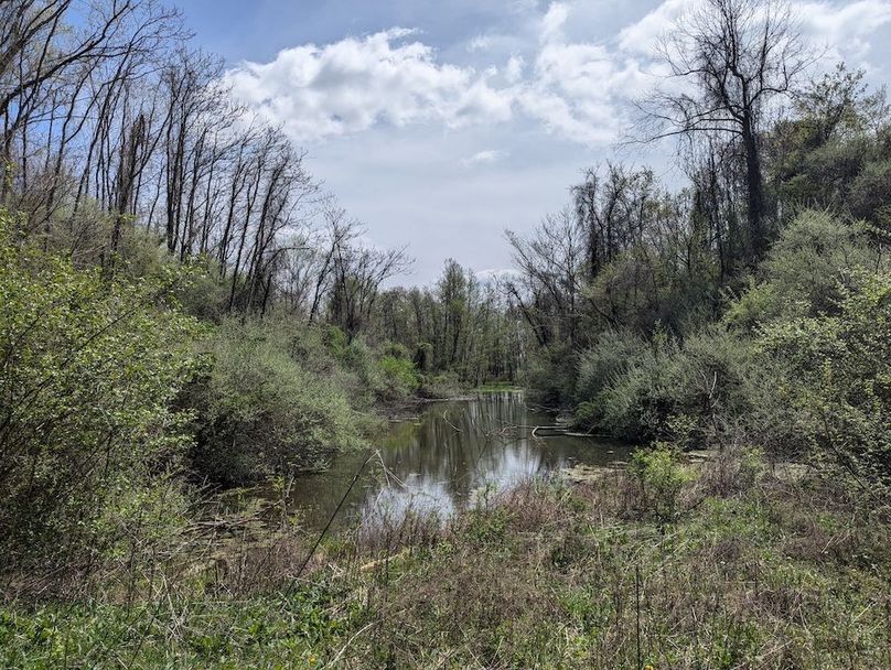 PXL_20250422_163110712