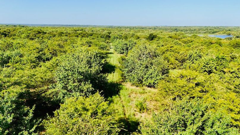 dji_fly_20250728_095030_0052_1753739694096_photo