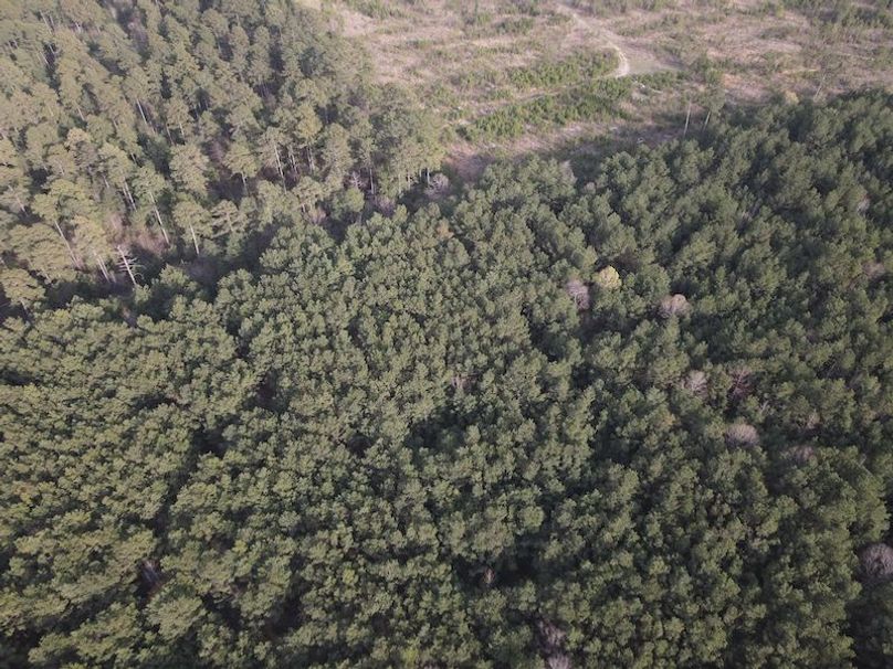 DJI_0106