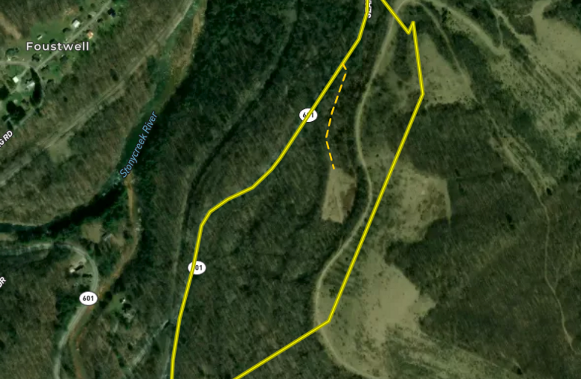 Screenshot 2026-03-11 at 12.16.57 PM