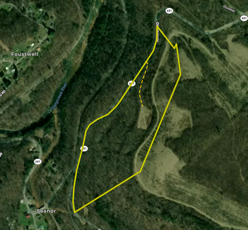 Screenshot 2026-03-11 at 12.16.57 PM