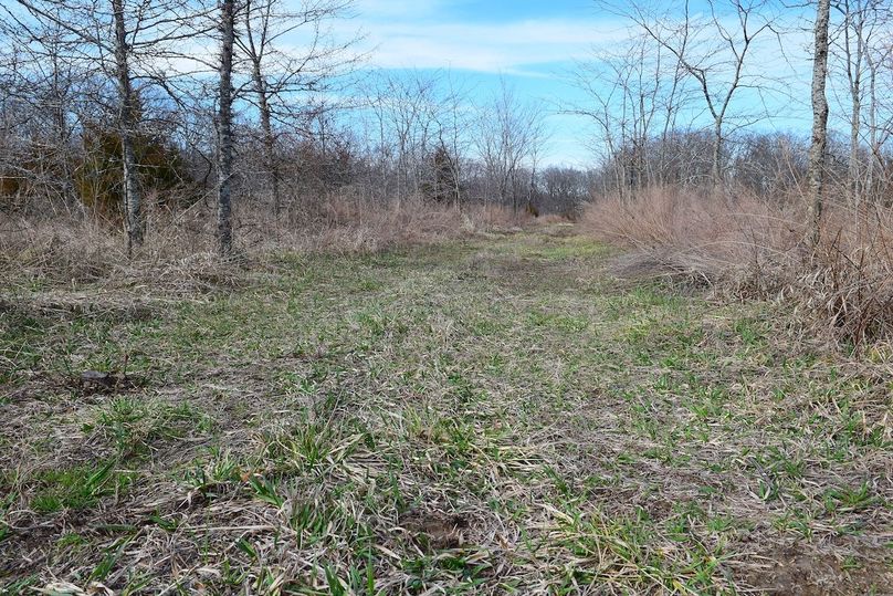 DSC_0311_inPixio (2)