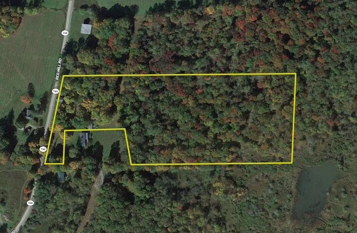 Screen Shot 2024-11-26 at 4.19.36 PM