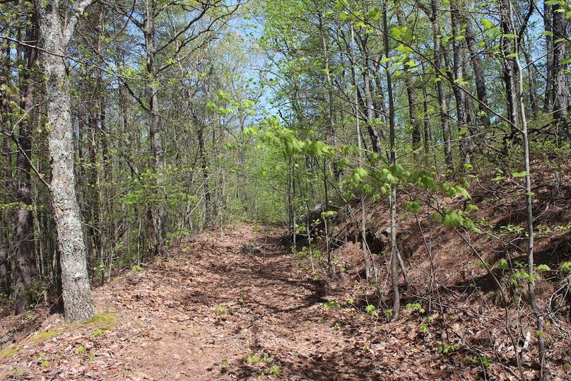 018 the trail leading off the county gravel road in the southwest corner of the property