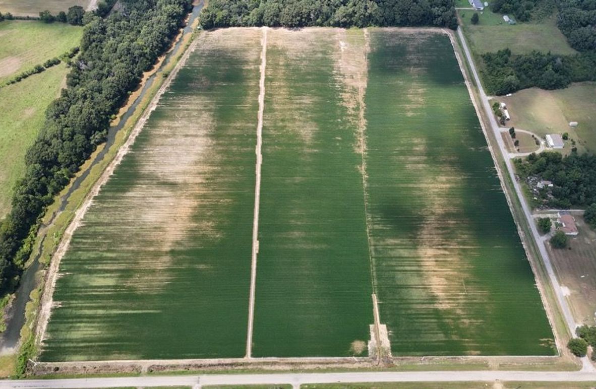 DJI_20250706040100_0466_D