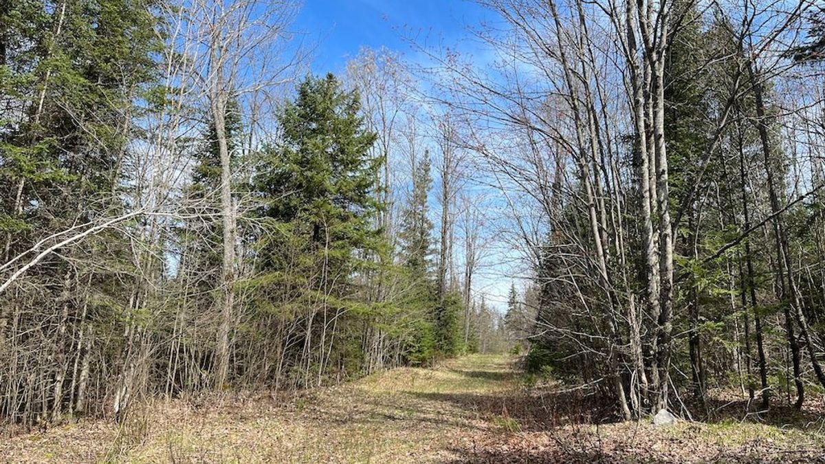 Large Acreage Hunting Land And Pole Barn Near Pine Lake Whitetail
