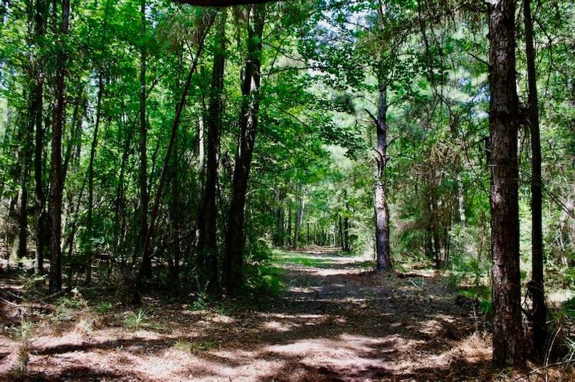 F4314DDF-25D0-4660-A6E5-7CA592780177_1_105_c