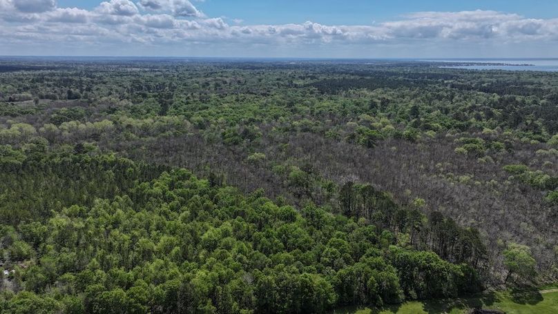 DJI_20260327115834_0047_D