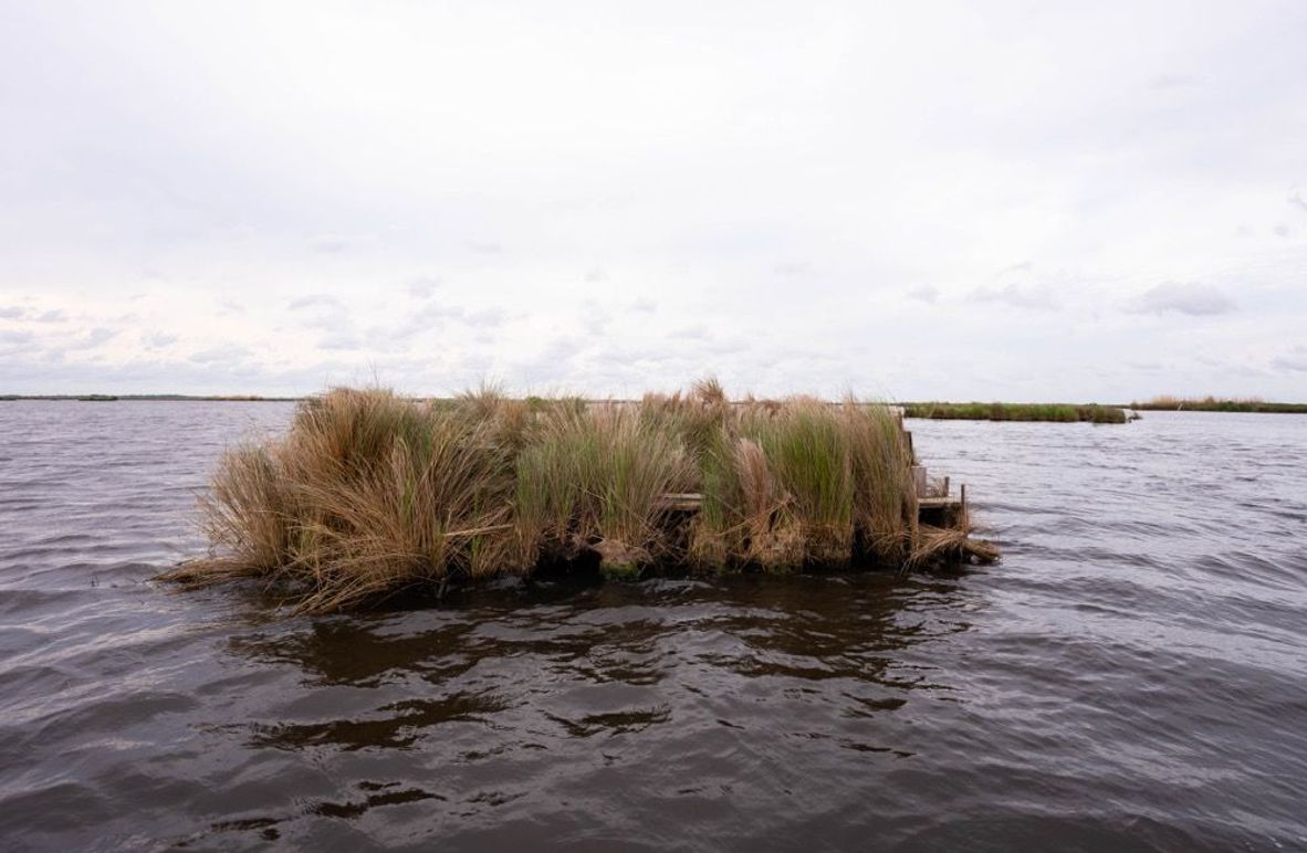 Cameron Parish LA 3,556 Pro Photo-61