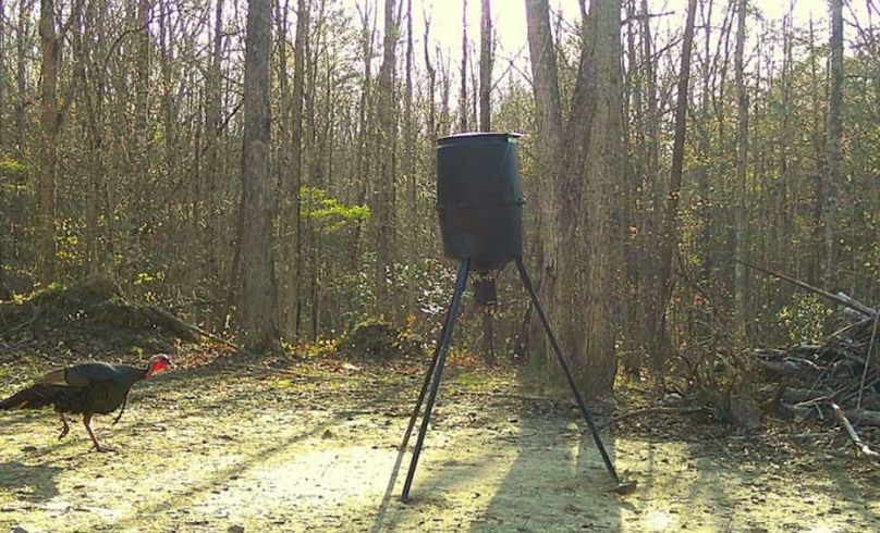 Trailcam 5