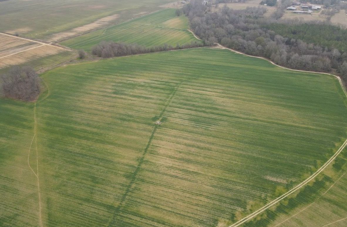 dji_fly_20260106_103138_774_1767987381029_photo