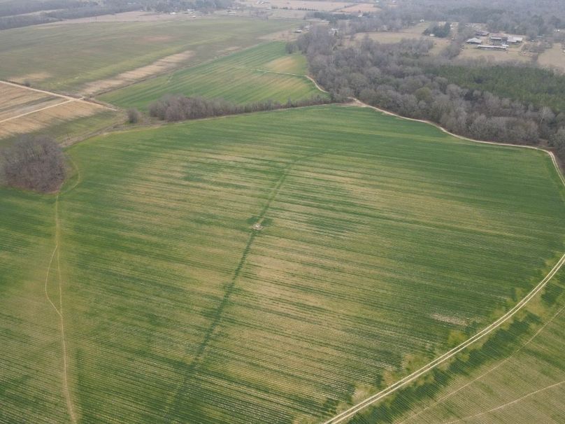 dji_fly_20260106_103138_774_1767987381029_photo