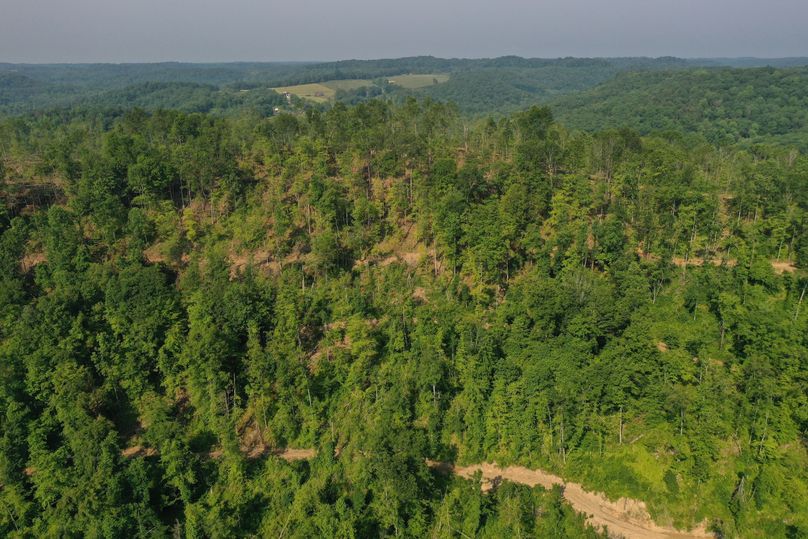 008 low elevation drone shot from the east boundary