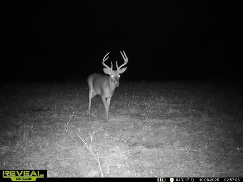 864049054772076-10-3-10082025025727-V-W1001693