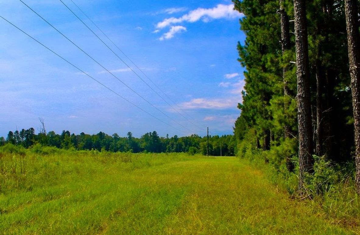 2AB0831A-78FA-4581-B41D-E4035931D38A_1_105_c