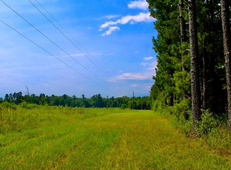 2AB0831A-78FA-4581-B41D-E4035931D38A_1_105_c