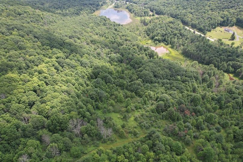 Chemung_78.26+Gutchess_Lumber_Photos_3