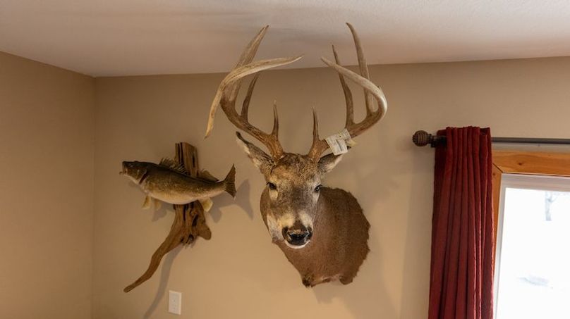 30