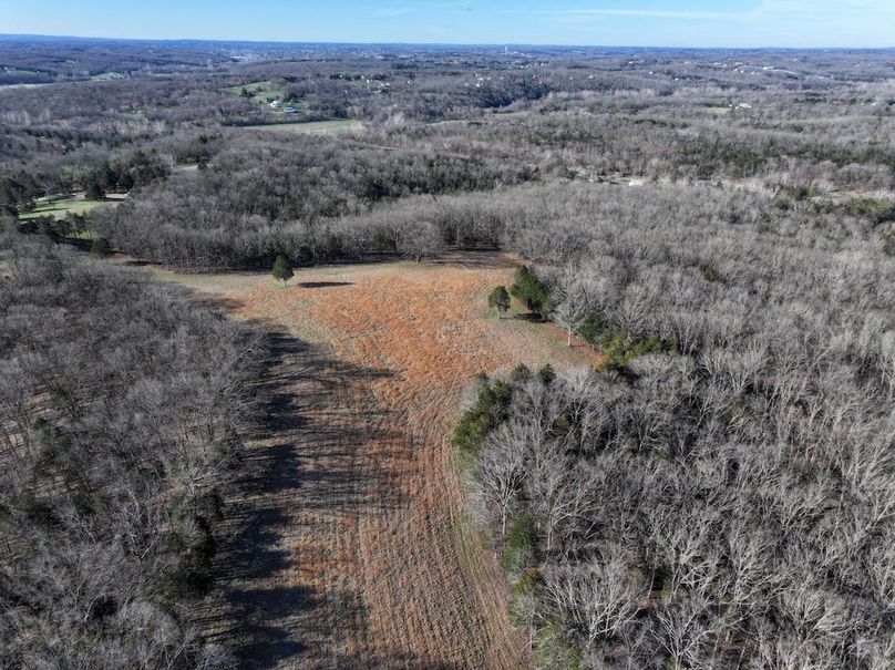 DJI_20260317092515_0956_D