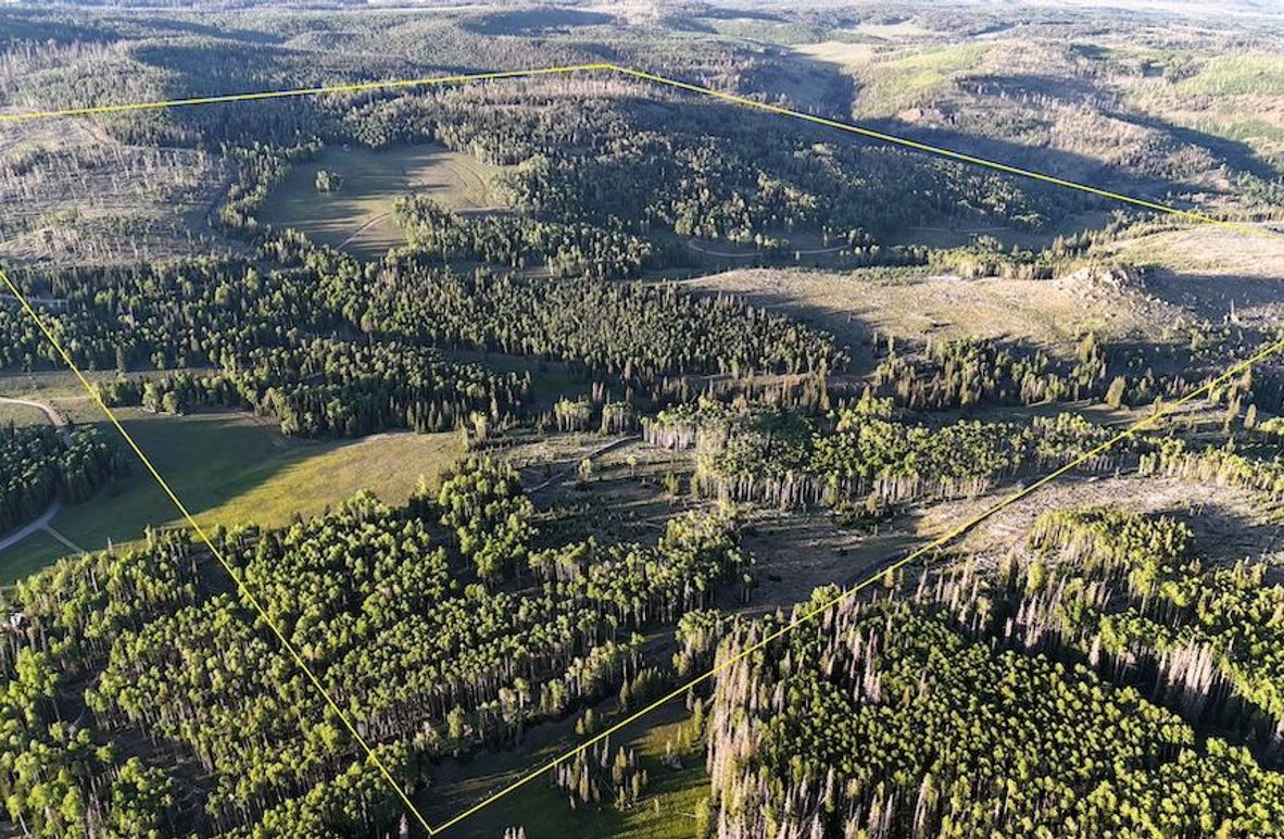 Photo 1 - use as cover