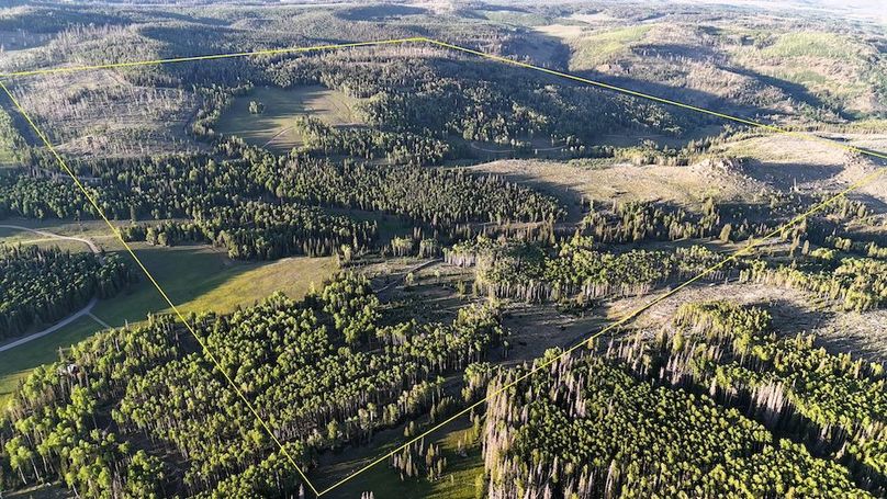 Photo 1 - use as cover