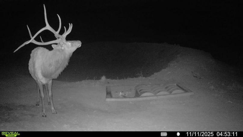 016578004267347-100-3-11112025045311-V-SYFW00601