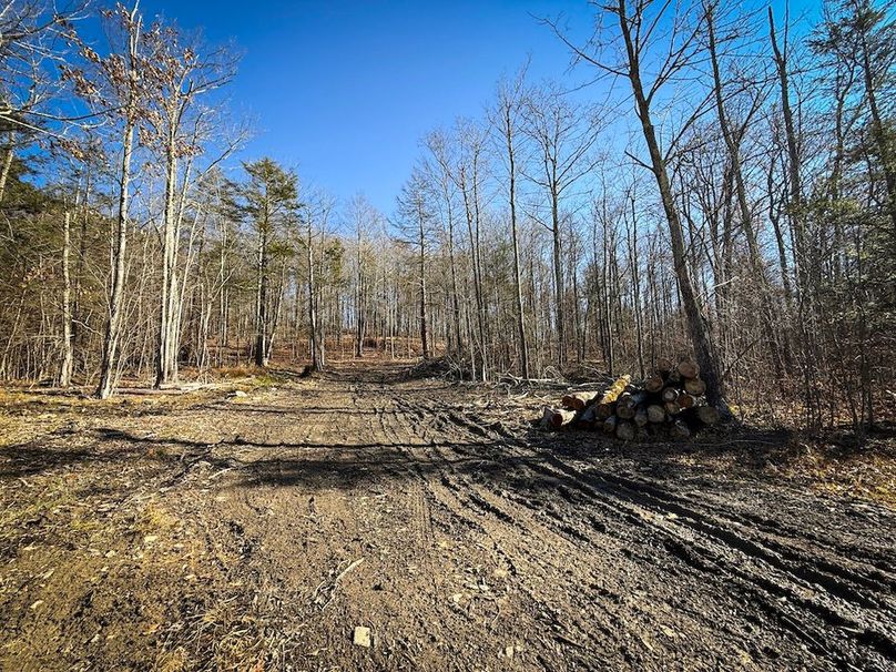 Chemung_31.75_Seymour_South_Photos_6