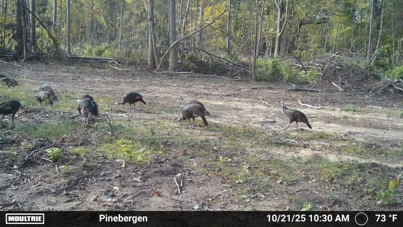 2365951-20251021212146-100MFCAM_MFDC2156