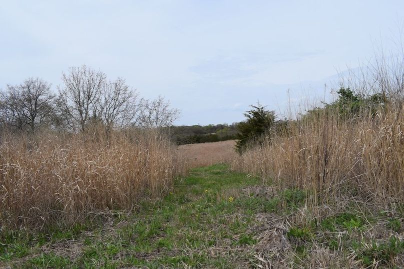 DSC_0004