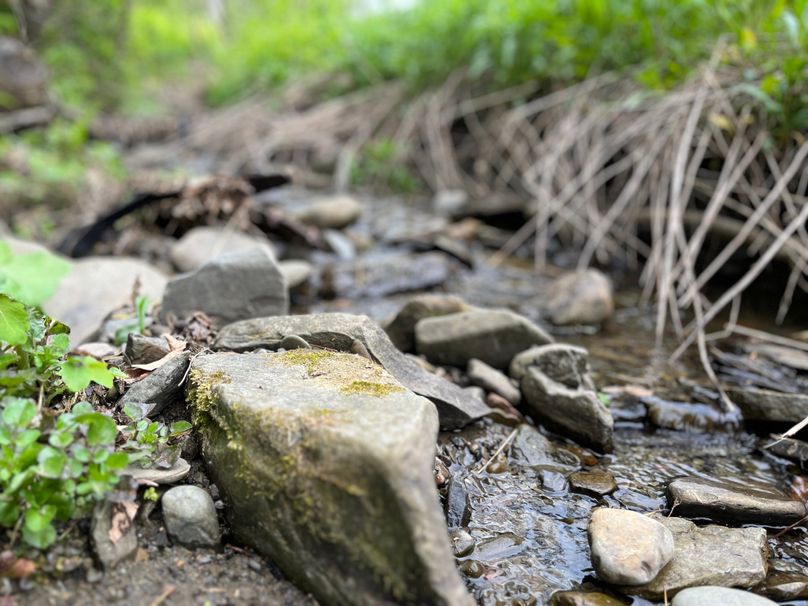 Tioga_18.72_Coulson Photo 34