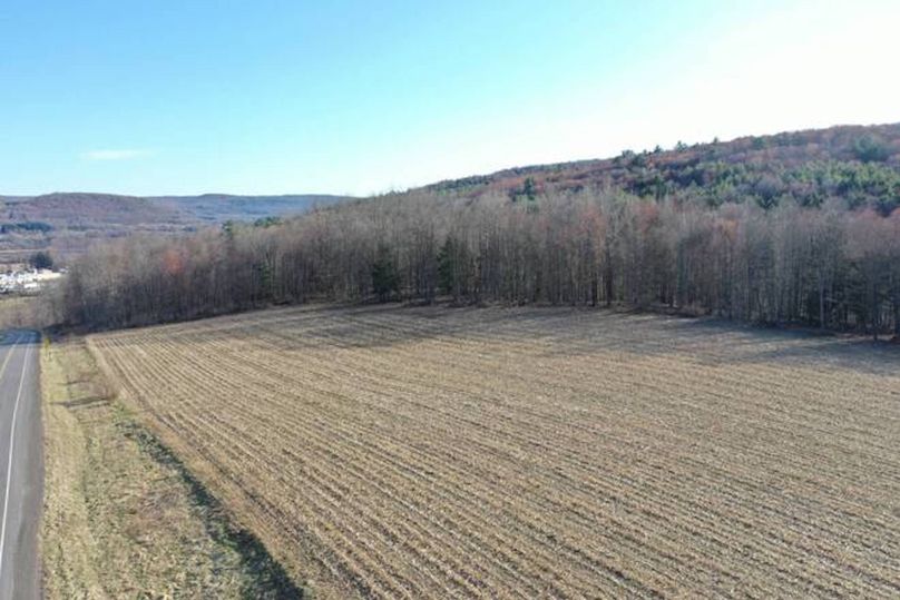 11067406-wxG1LGzPcS22SVk2